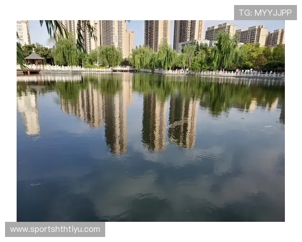 华体会国际：利用先进技术提升平台稳定性与用户满意度的实践经验